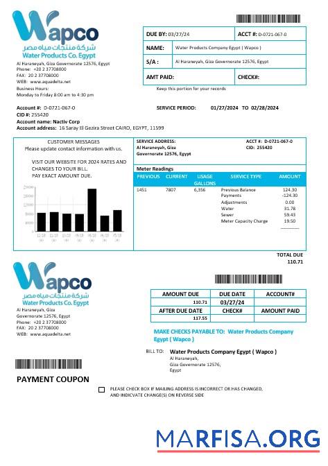 Realistic Egypt Water Products Company Egypt Wapco business utility bill template